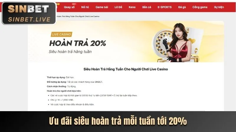 Tổng quan các loại khuyến mãi HH888VI
